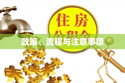 太子河政策、流程与注意事项