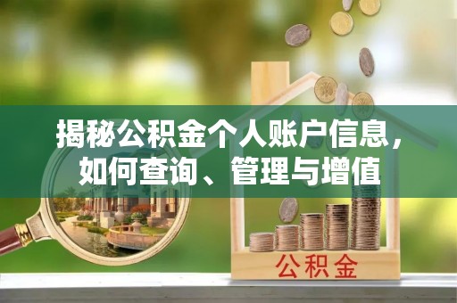 太子河揭秘公积金个人账户信息，如何查询、管理与增值