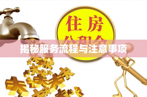 太子河揭秘服务流程与注意事项