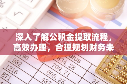 太子河深入了解公积金提取流程，高效办理，合理规划财务未来