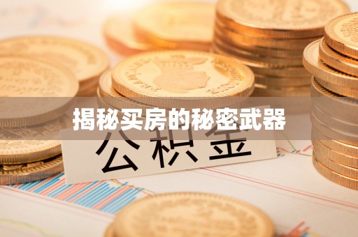 太子河揭秘买房的秘密武器