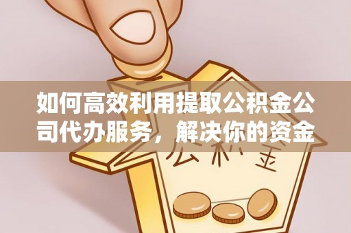 太子河如何高效利用提取公积金公司代办服务，解决你的资金难题