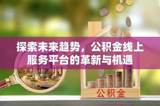 太子河探索未来趋势，公积金线上服务平台的革新与机遇