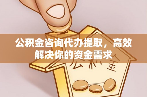 太子河公积金咨询代办提取，高效解决你的资金需求