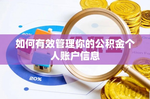 太子河如何有效管理你的公积金个人账户信息
