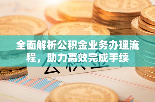 太子河全面解析公积金业务办理流程，助力高效完成手续