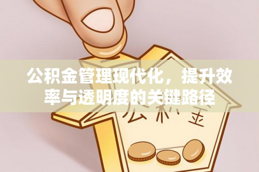 太子河公积金管理现代化，提升效率与透明度的关键路径