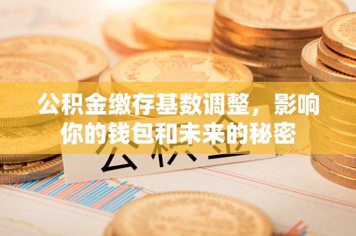 太子河公积金缴存基数调整，影响你的钱包和未来的秘密