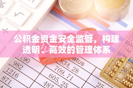 太子河公积金资金安全监管，构建透明、高效的管理体系