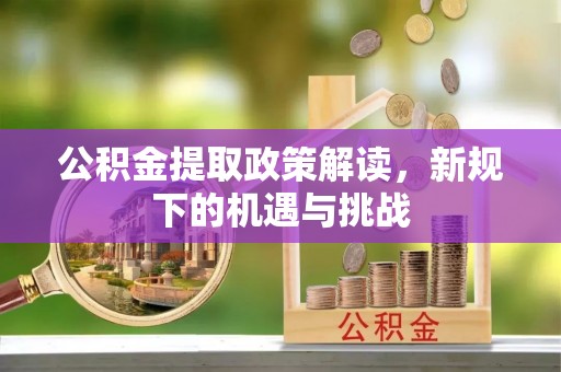 太子河公积金提取政策解读，新规下的机遇与挑战