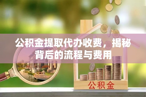 太子河公积金提取代办收费，揭秘背后的流程与费用