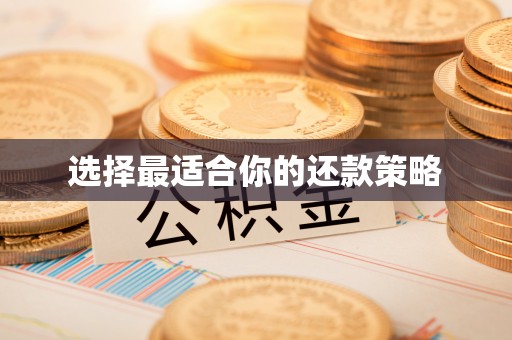 太子河选择最适合你的还款策略