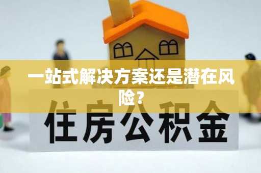 太子河一站式解决方案还是潜在风险？