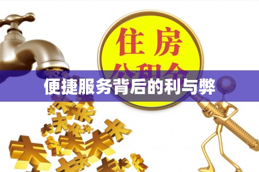 太子河便捷服务背后的利与弊