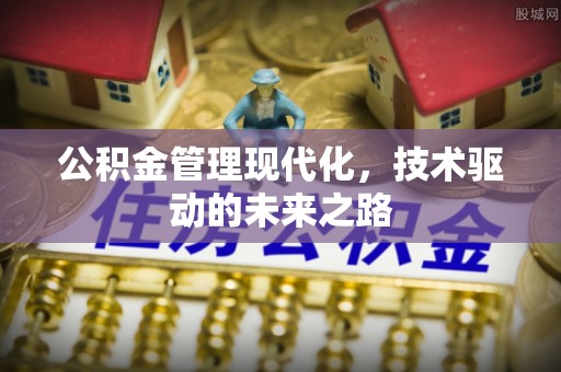 太子河公积金管理现代化，技术驱动的未来之路
